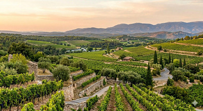 L'Agence Immobili�re Orpi CABANIS de la Cadi�re d'Azur R�v�le l'Atout Charme du Vignoble pour Votre Projet